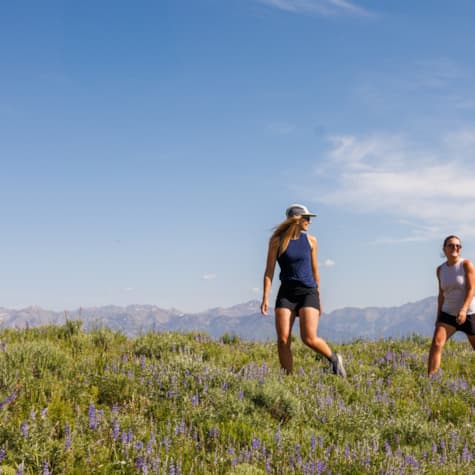 crop2_svr_summer_sofiajaramillo-hiking-6555-6001x4002-e4a0cab