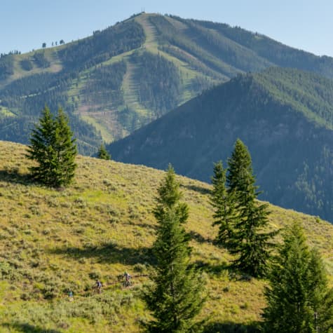 idarado_summer_familywhiteclouds_july2019_20