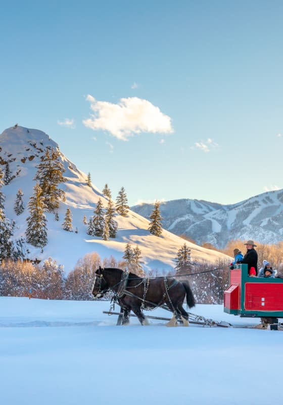 sv_co_sleighride_feb5_2019-655-edit-(1)