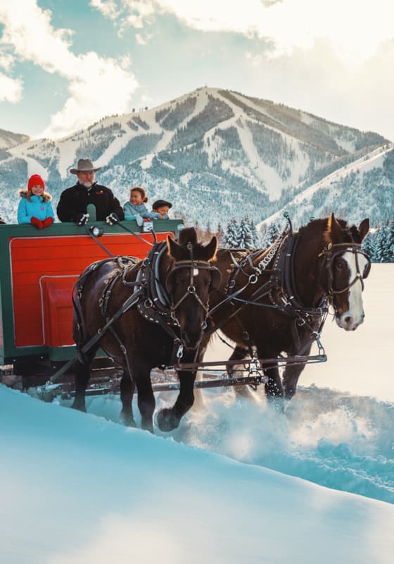 svr_svstables_sleighride_winter_2019_dondero_steve_5_v1-3